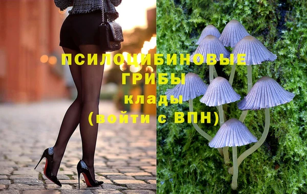 ешки Алексеевка