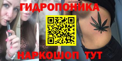 apvp Краснознаменск