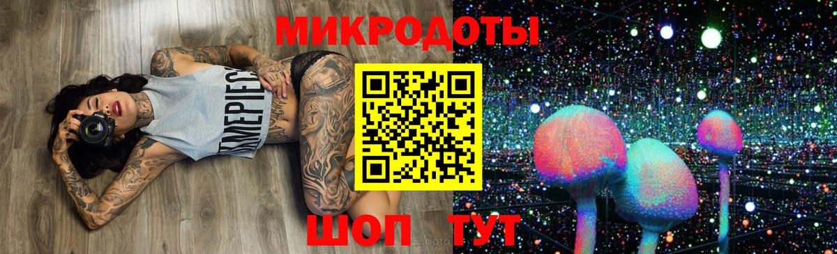 Псилоцибиновые грибы Cubensis Зеленокумск